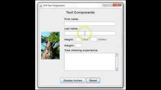 Java GUI Text Components