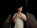 葫芦丝演奏《万泉河水清又清》 music clarinet 豎琴 乐器 cover 單簧管 saxophone