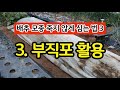 배추 모종 백프로 살리는 정식 방법 종이컵과 부직포 활용