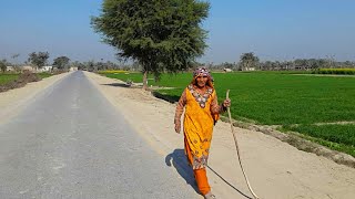 Punjab Village Tour | Pakistan Village Rural Life
