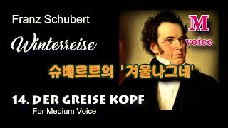 F. Schubert - Winterreise / 14. Der greise Kopf / For Medium Voice / 슈베르트, 연가곡 겨울 나그네 14.백발