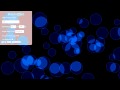 Pure CSS3 bokeh effect