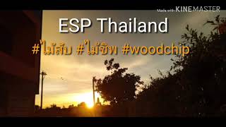 พลังงานชีวมวล ไม้สับ ไม้ชิพ ความชื้นต่ำ พร้อมส่ง ESP Woodchip