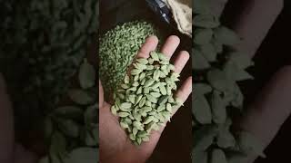 Fresh Dry Cardamom