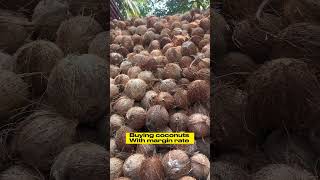 Coconut trading business 🌴🥥 #tamil #coconut #vegan #organic #business #health #shorts