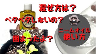 ニームオイル混ぜ方は？固まったよ？ベタベタしない？【ニームオイル】【使い方】【家庭菜園】