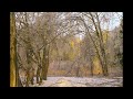 ice storm december 2017 abbotsford b.c. canada fishtrap creek park