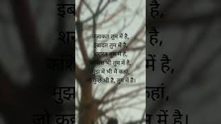 नज़ाकत तुम में है | True Lines | Love | Sad Romantic status #shorts #explore