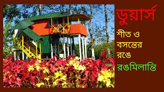 Dooars. ডুয়ার্স, ভুটান পাহাড়ের নীচে জলপাইগুড়ি ও আলিপুরদুয়ার জেলার বিউটি স্পট।