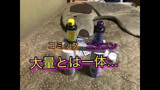 大量買い動画とニンニンコミックフルボトルレビュー(塗装用品とフルボトル）仮面ライダービルド