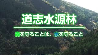 道志水源林　森を守ることは水を守ること