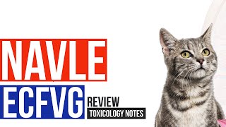 NAVLE | ECFVG Review: Lily Toxicosis