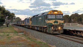 7731V Pacific National Grain Train With VHAF Hopppers (2/8/2021) - PoathTV Australian Railways