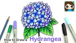 How to Draw a Hydrangea Flower Easy