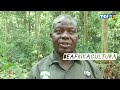 centrafrique carnet de voyage a bayanga le parc national de dzanga sanga