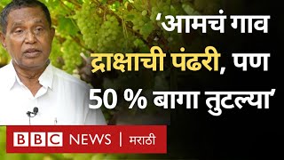 Maharashtra farmers: छोट्या शेतकऱ्यांना द्राक्षशेती का परवडत नाहीये?