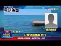 觀音亭海域驚傳有鯊魚 民眾不信仍下水