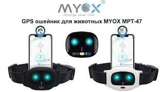 GPS ошейник для собак и котов MYOX MPT-47 -  Обзор