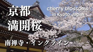 SUB【京都・桜】京都桜名所 満開桜/南禅寺/インクライン 京都観光 春の京都 写真撮影/cherry blossoms in Kyoto Japan