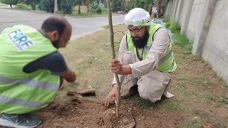 Why Dawateislami is Planting Trees | Poda lagana hai Darakhat bnana hai | Soban Attari | Vlog