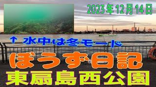 ぼうず日記+水中動画 （※ 東扇島西公園　2023年12月14日）