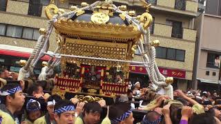 30年  鳥越神社  例大祭  本社千貫神輿立派な町内渡御 迫力満点　。