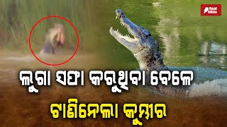 ଲୁଗା ସଫା କରୁଥିବା ବେଳେ ଟାଣିନେଲା କୁମ୍ଭୀର |