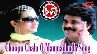 Choopu Chalu O Manmadhuda Song | King Movie | Akkineni Nagarjuna | Trisha