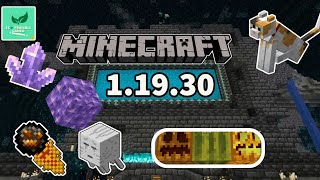 Minecraft - 1.19.30 (Bedrock) Update Released HUGE Bug Fix Update!