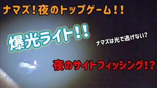 爆光ライト導入❗️夜のナマズを水面照らしてサイトフィッシング⁉️