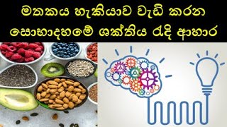 මතකය , හැකියාව වැඩි කරන සොභාදහමේ ශක්තිය රැදි ආහාර - Memory Boosting Natural Foods