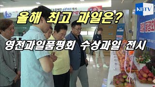 2023 올해 최고 과일은?... 영천과일품평회 수상작 전시 현장(영천시청로비)