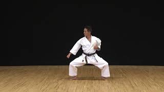 Naha-te kei Kata GEKISAI II