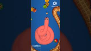 😱Worms Zone.io ❤️001 Slither snake TOP 1 Best world Record snake Epic cacing WormsZoneio#800