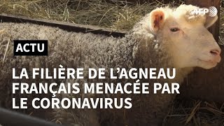 La filière de l'agneau français menacée par le coronavirus | AFP