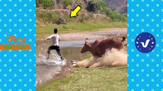 Funny & Hilarious  People's Happy Life #29 😂 Try Not To Laugh Funny s 2024