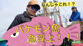 【スロージギング】カンパチを狙っていたら、謎のバケモノみたいな巨大魚が釣れた！【小笠原諸島 母島】Slow pitch jigging