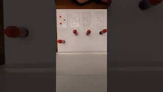 Simulated Blood Typing