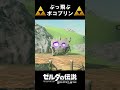 【攻略】ボコブリンと一緒にぶっ飛んで遊んでみた【ゼルダの伝説 ブレスオブザワイルド】