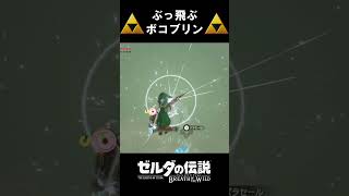 【攻略】ボコブリンと一緒にぶっ飛んで遊んでみた【ゼルダの伝説 ブレスオブザワイルド】