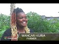 How to do Urban Mushroom farming in Kenya - Part 1