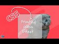 Achieve the stunning frosted glass effect using pure CSS background blur magic.