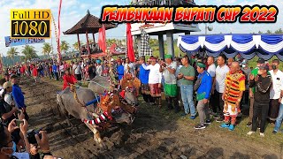 MAKEPUNG JEMBRANA, BUPATI CUP 2022