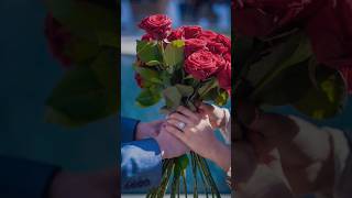 Happy Rose day 🌹🌹 Love story 💕💕#shorts #trending #video #viral #youtubeshorts