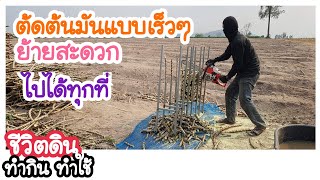 เลื่อยยนต์ตัดต้นมัน | แดงโปดชีวิตดิน