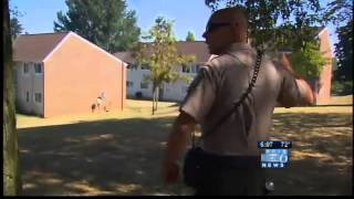 U.S. marshals launch local sex-offender busts
