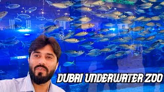 Exploring DUBAI AQUARIUM & UNDERWATER ZOO | Shark Dive Dubai Aquarium - Encounter @altaftravelogue