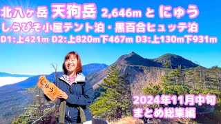 初冬の北八ヶ岳 天狗岳と「にゅう」二泊三日 しらびそ小屋テント泊と黒百合ヒュッテ個室泊 2024年11月中旬 まとめ総集編【無体力・初心者・女性・絶景登山】