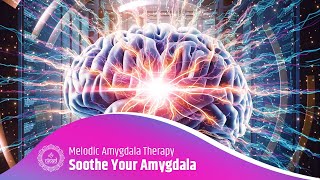 Soothe & Strengthen Your Amygdala: Melodic Amygdala Therapy: Ease Anxiety, Suppr
