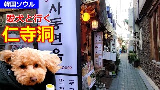 【愛犬と韓国の旅】ソウル仁寺洞、揚げたてさくさくホットクであったまろ